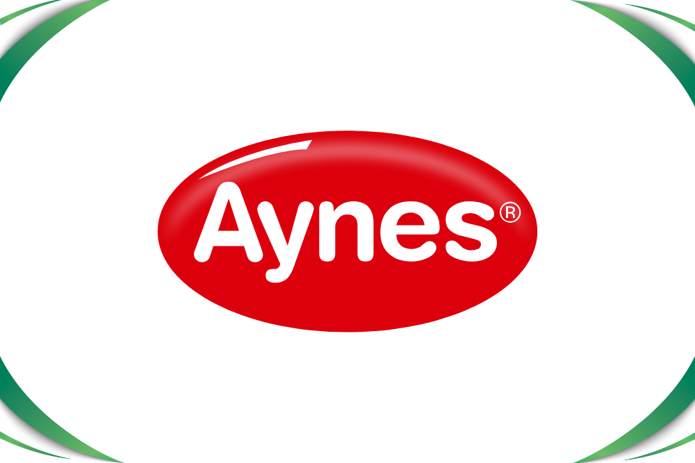 Aynes